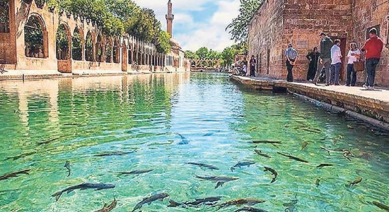 Şanlıurfa